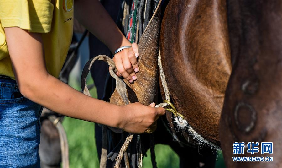 （特別的暑期生活&middot;圖片故事）（7）草原女孩錫林花的暑期&ldquo;歡樂(lè)時(shí)光&rdquo;